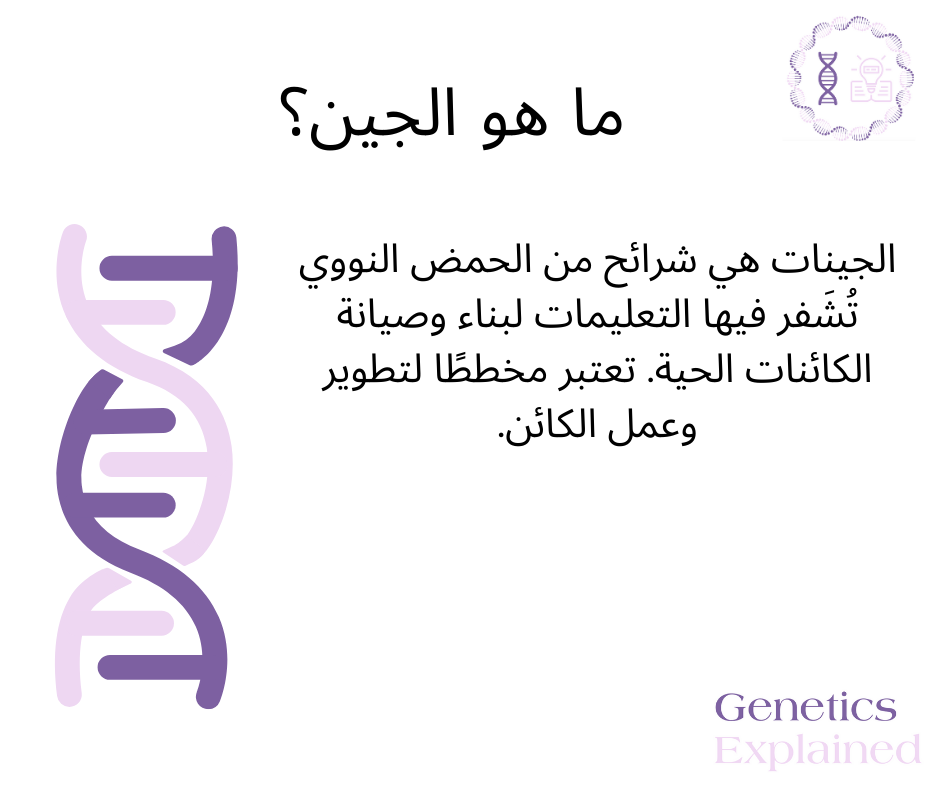 Arabic- What is a gene?