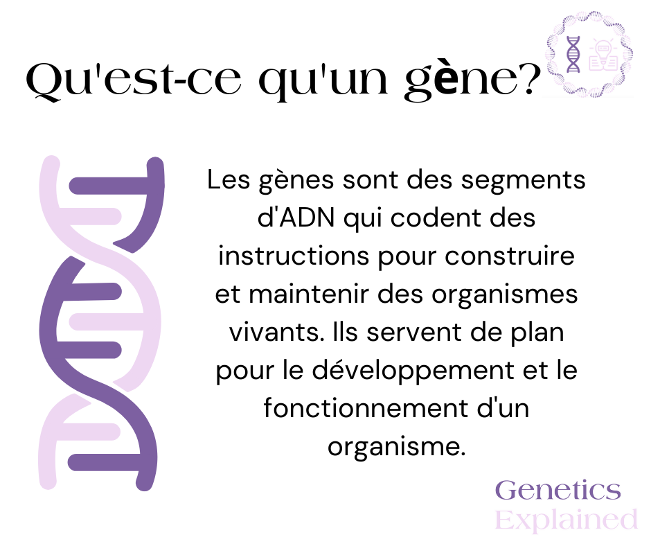 French- What is a gene?