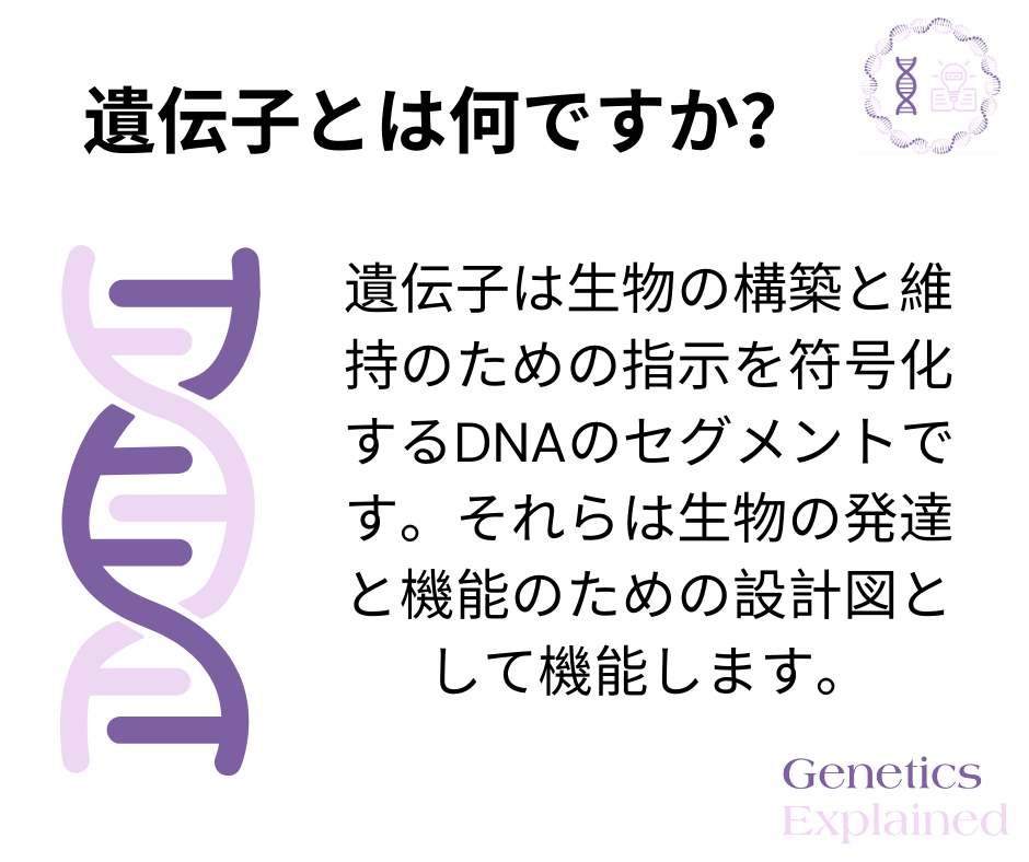 Japanese- What is a gene?