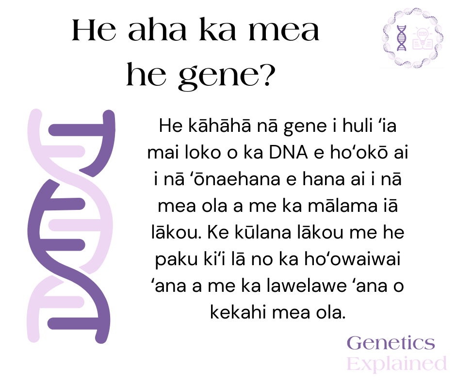 Hawaiian- What is a gene?