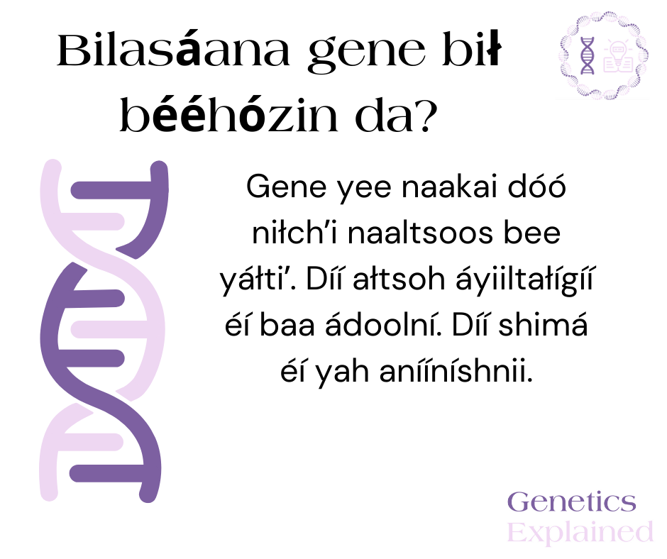 Navajo- What is a gene?