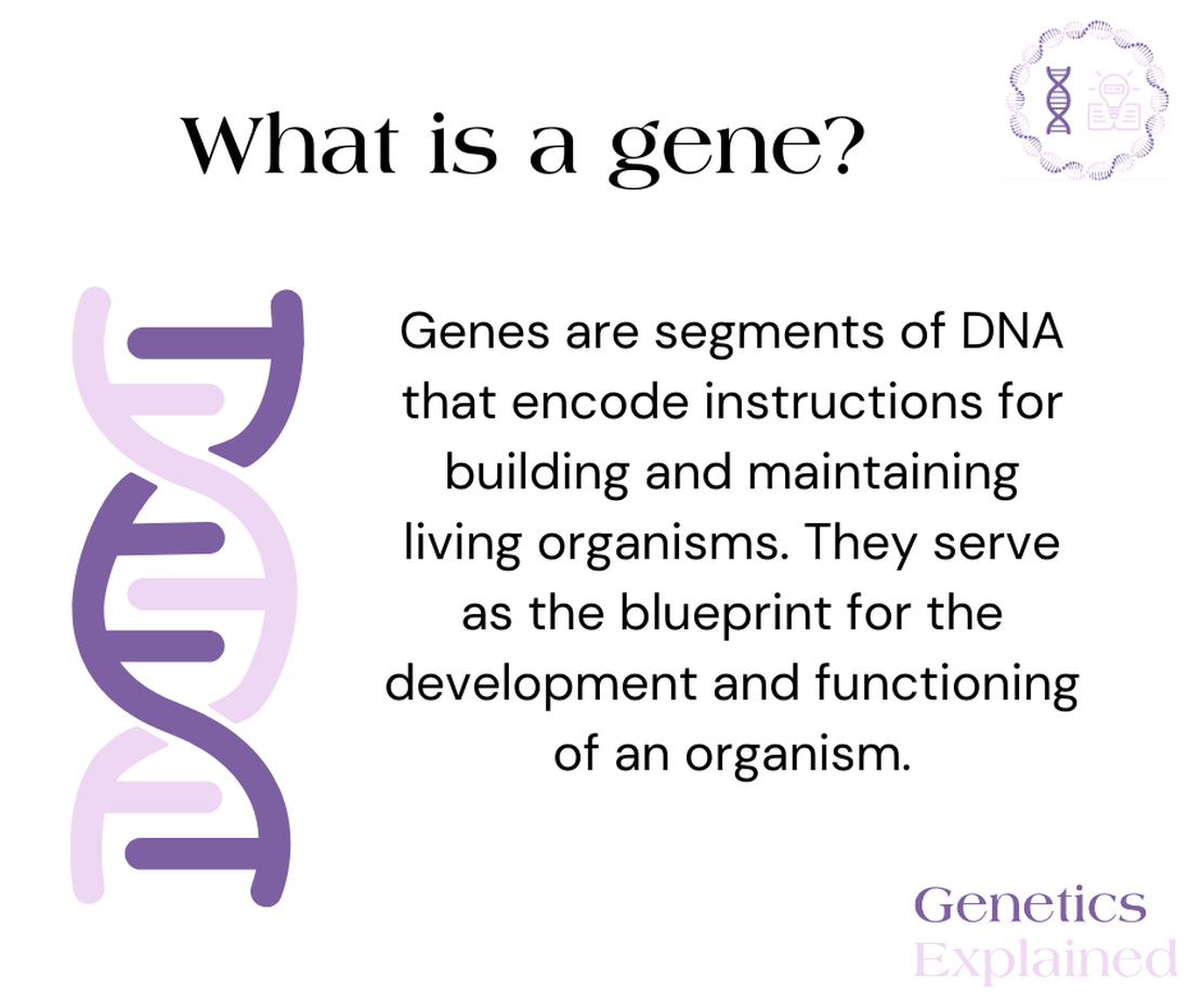 What is a gene?